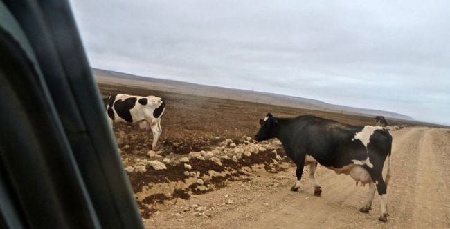 Searching for north baja waves