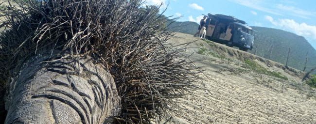 Making Friends in Playa Cerritos