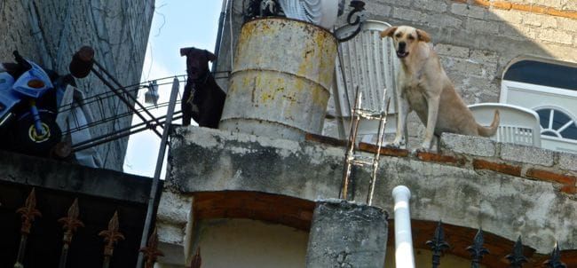 Happily "Stuck" in Bucerias