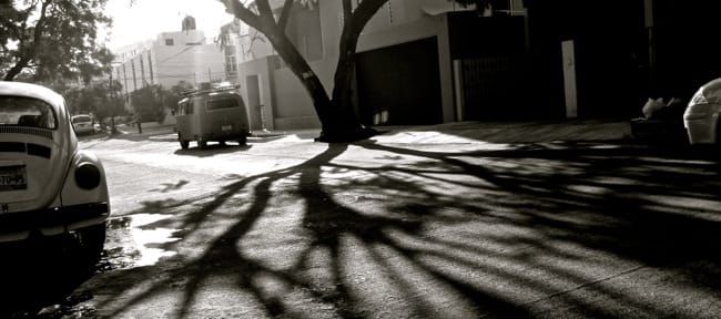 Visiting the Paparazzi in Guadalajara