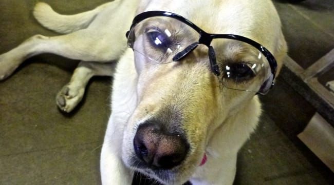 The creative spirit...