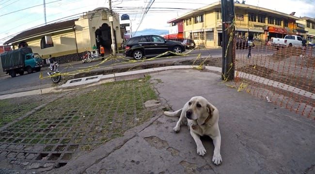 costa rica.  waiting...