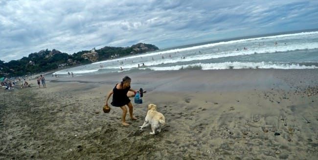 Serendipity in Sayulita