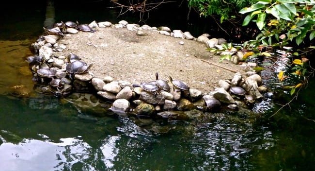 Rio Dulce, Guatemala