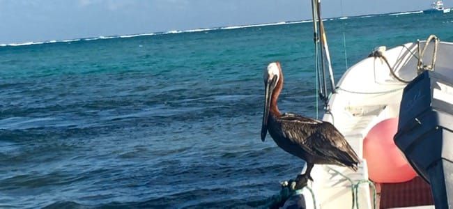 The end of our time in Tulum