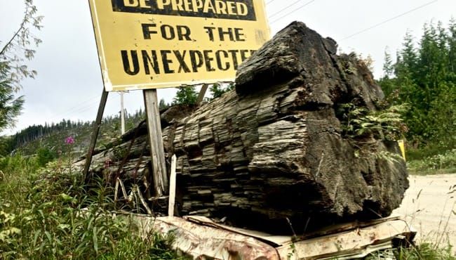 2016, Year in Review