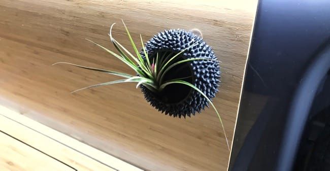 Winter road trip officially begins