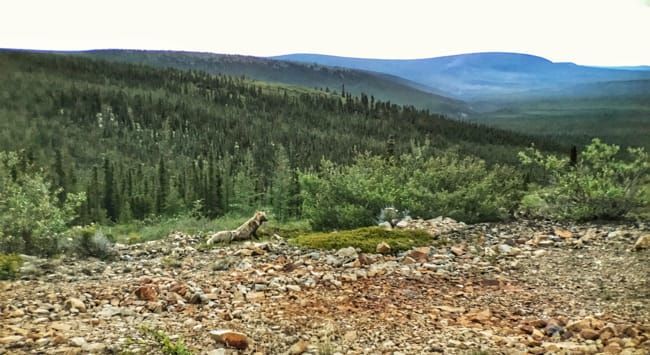 the Dempster Highway
