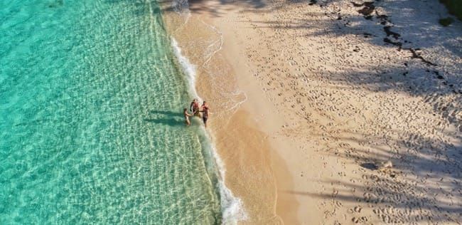 Friends for the holidays