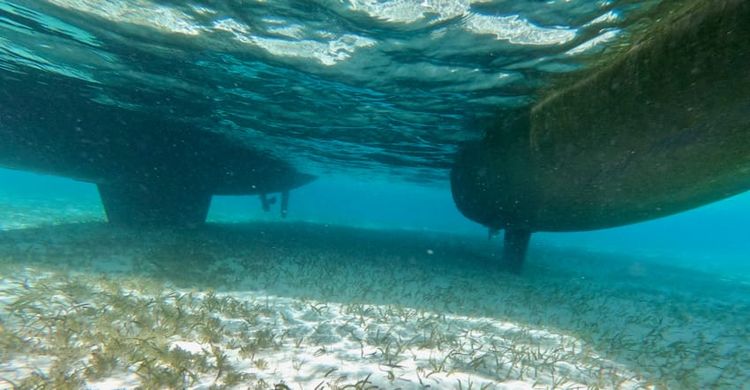 Running to Safety (and running aground)