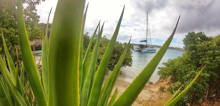 Coronavirus and an Uncertain Future