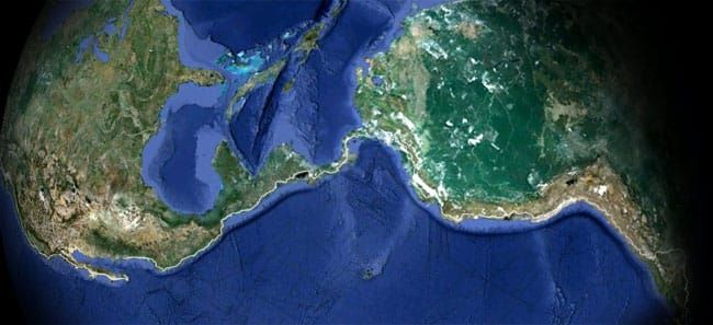 leap.  and the net will appear...