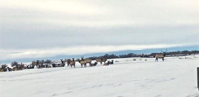 Sun Valley