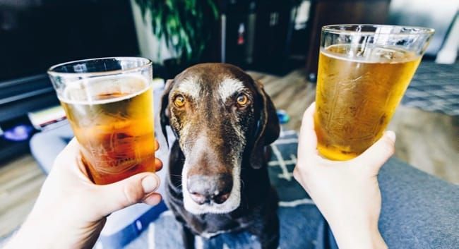 Santa Barbara and San Jose