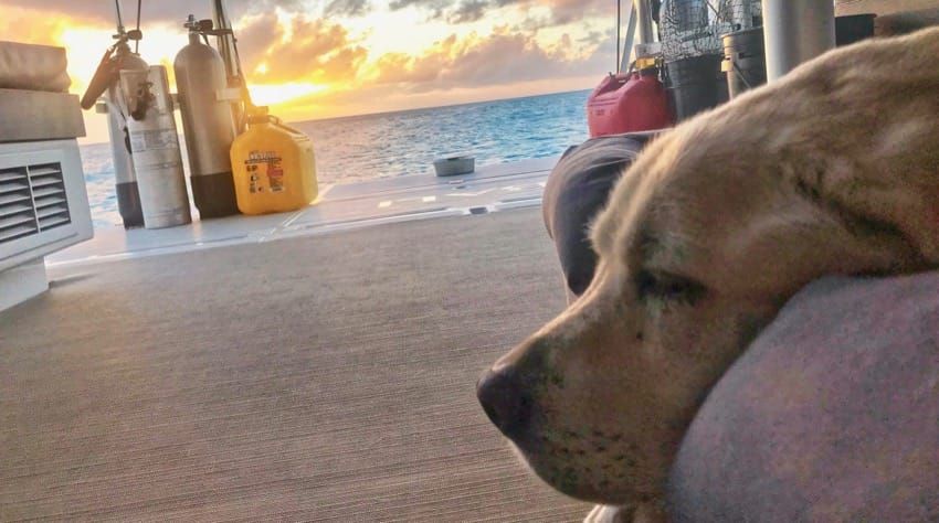 Laundry Day and Karma Overboard