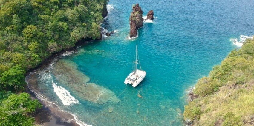 Year End Review - 2019