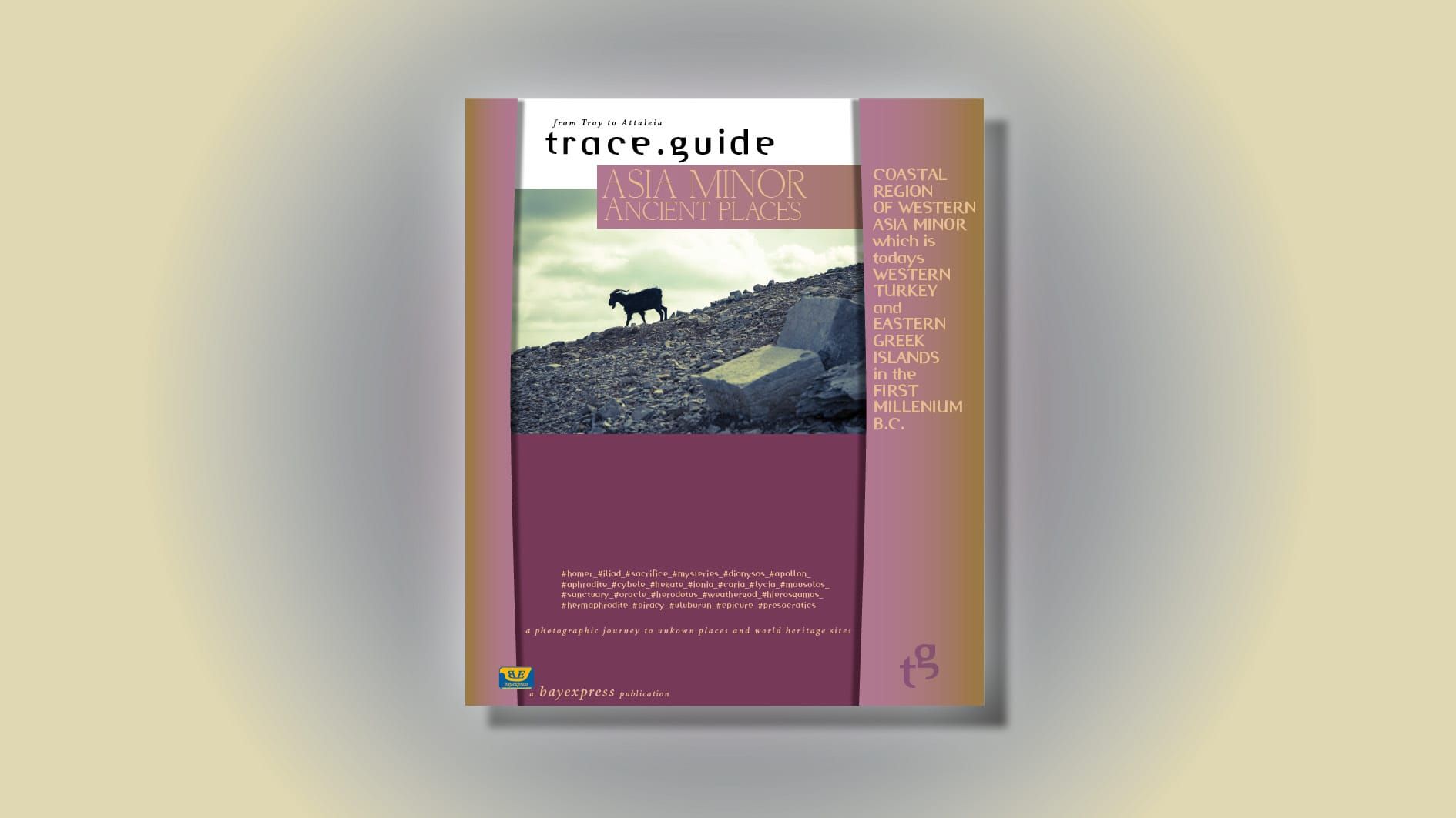 about trace.guide