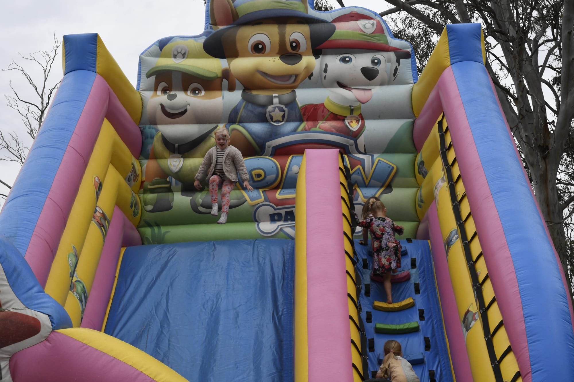 Fun for everyone... The Paw Patrol giant slide proved a hit with the little ones.&nbsp;
