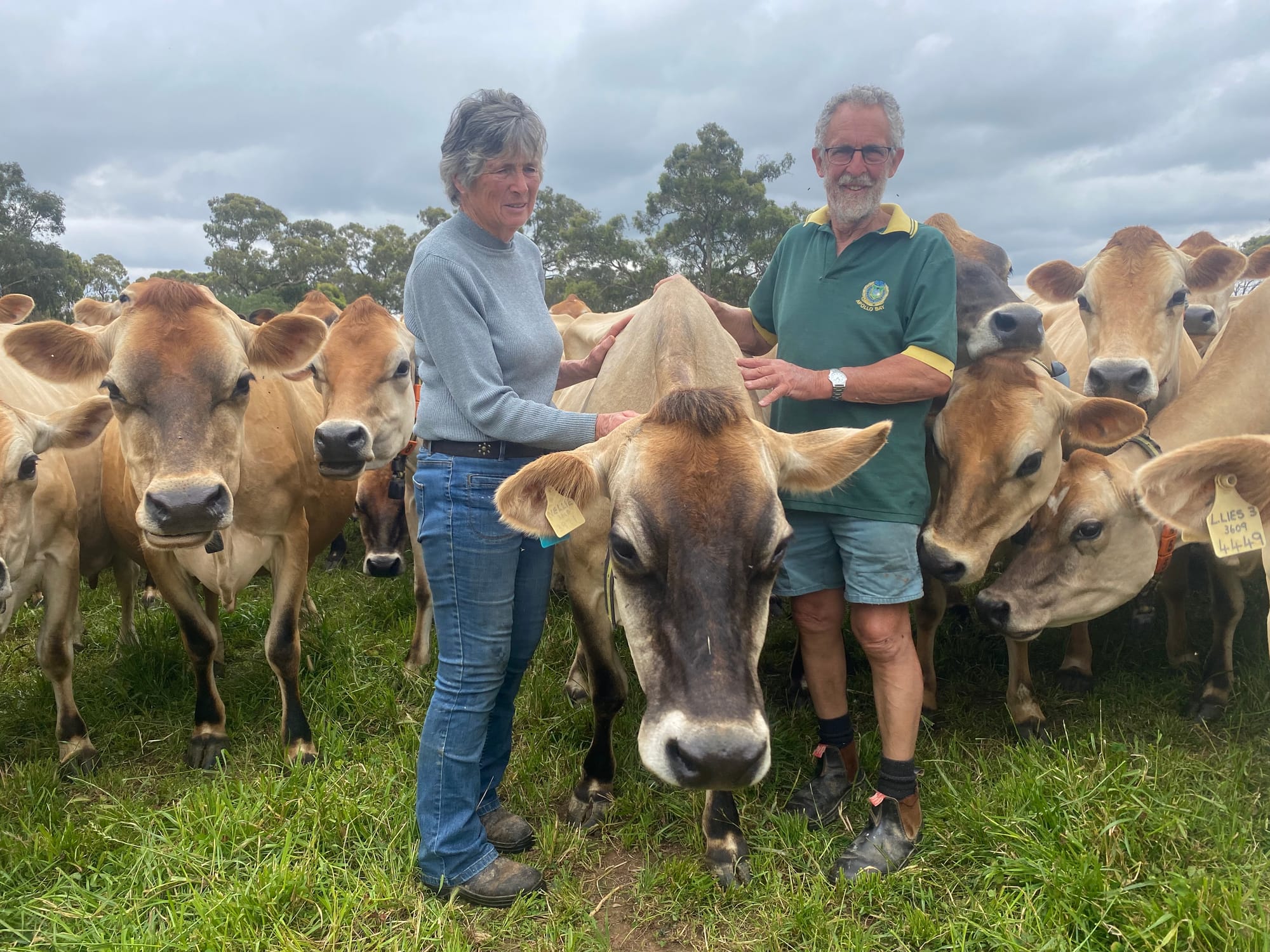 Favourite jersey... John and Margaret Cockerell with one jersey who won’t be getting sold off, Warrain Tilly. 
