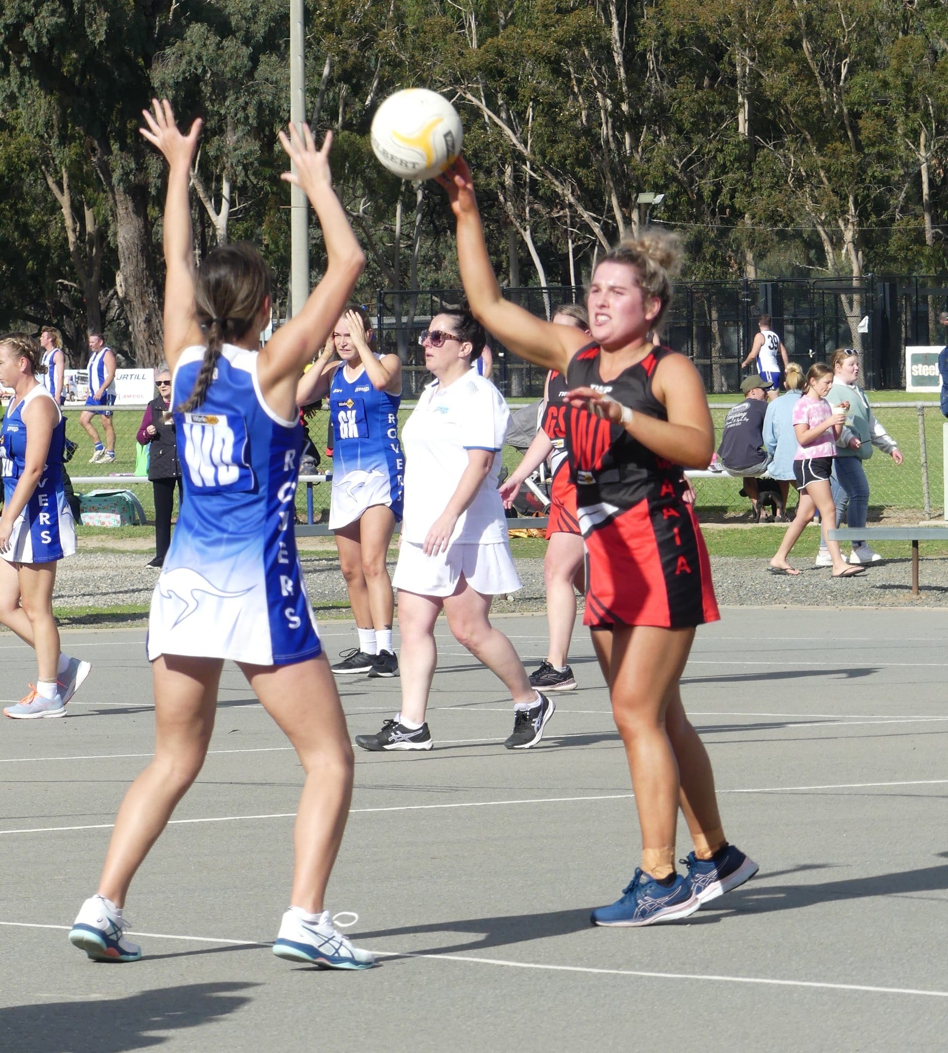 Where to next... Ruby Arnel looks for a lead. 