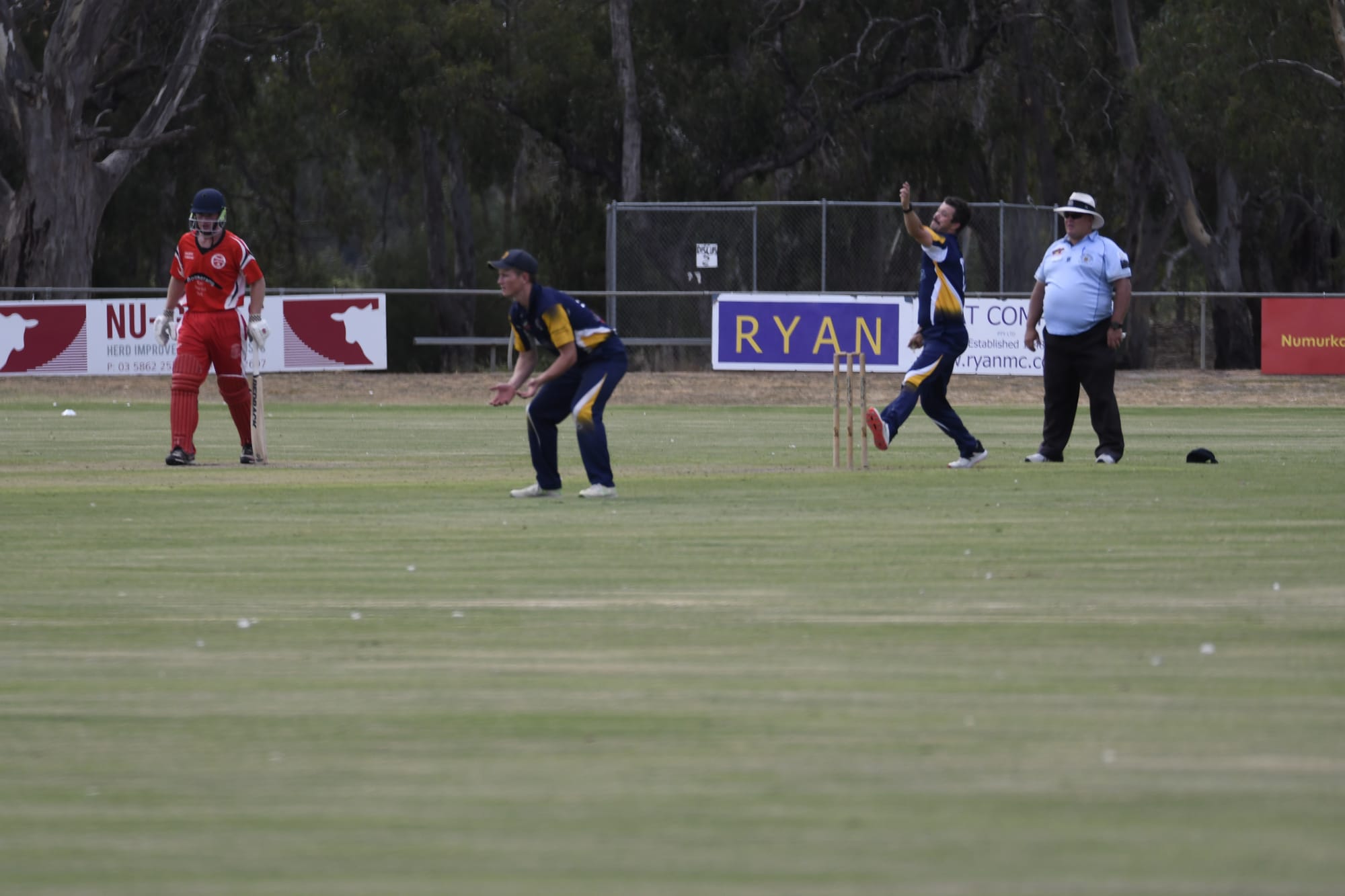 Too good... Darren Hindle steams in to bowl, on his way to two big wickets.
