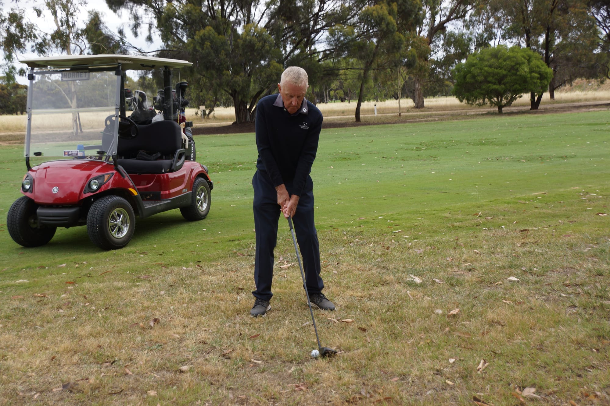 Whoops! He did it again