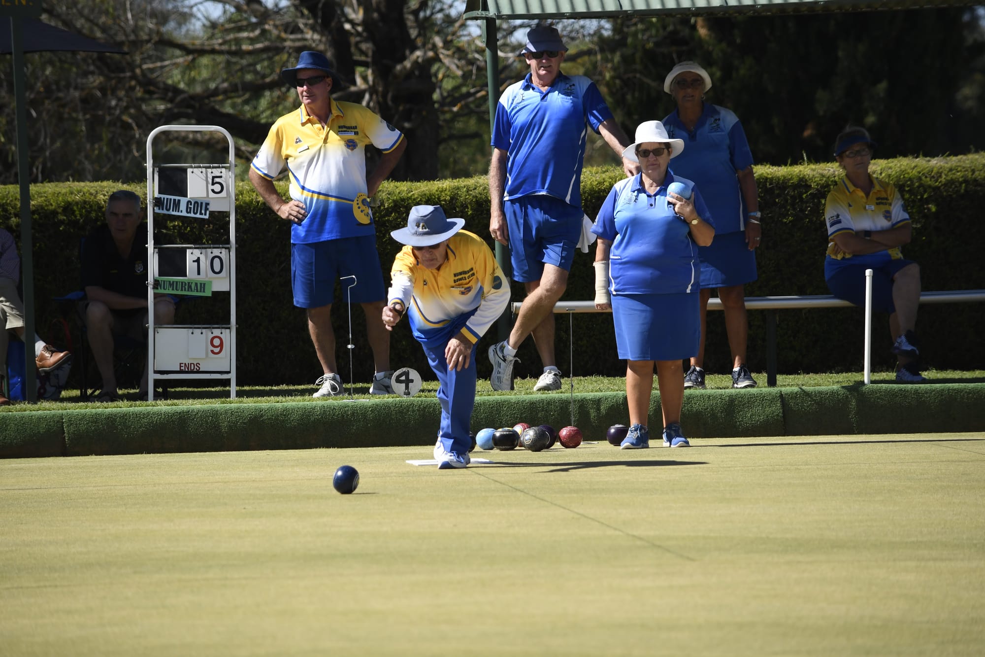 Trio of Town grand finalists
