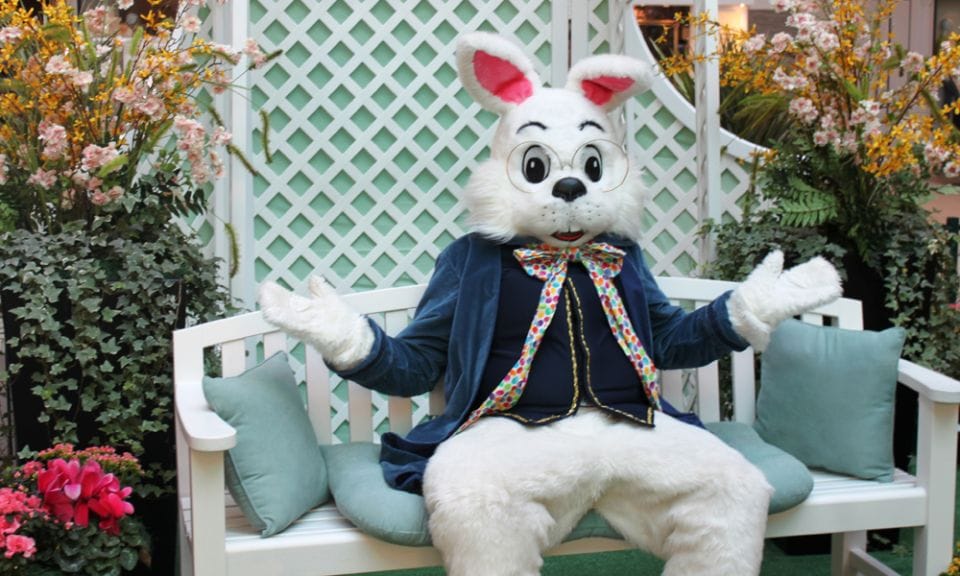 A cuppa with the Easter Bunny