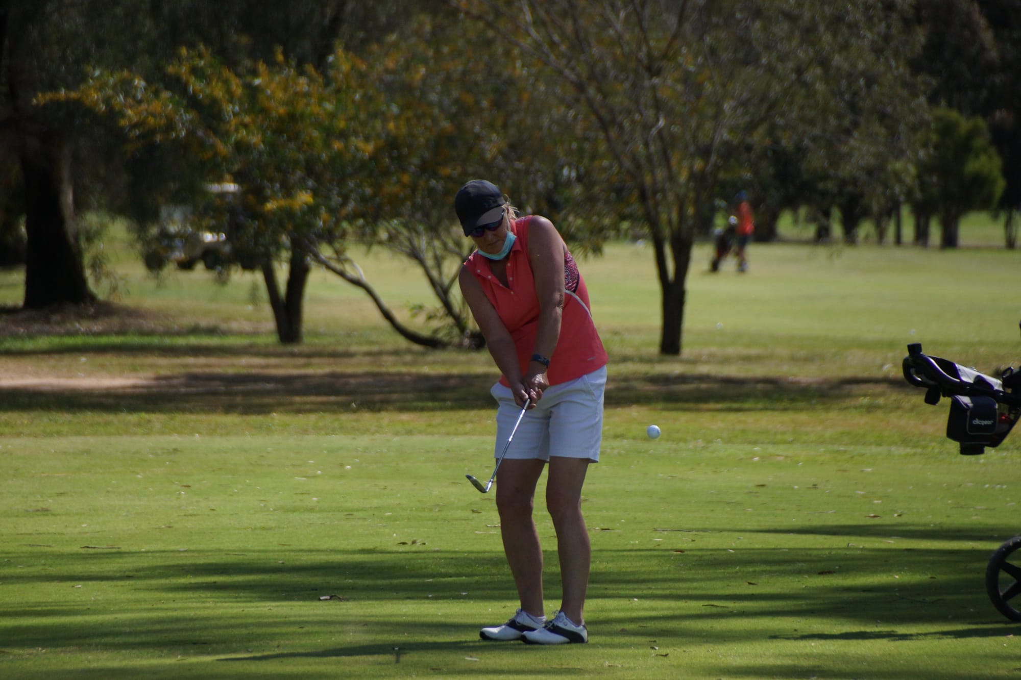 Beginners’ luck ... Di Davies used her ‘vast experience’ to steer herself and Sue Herlihy to a win on Saturday.