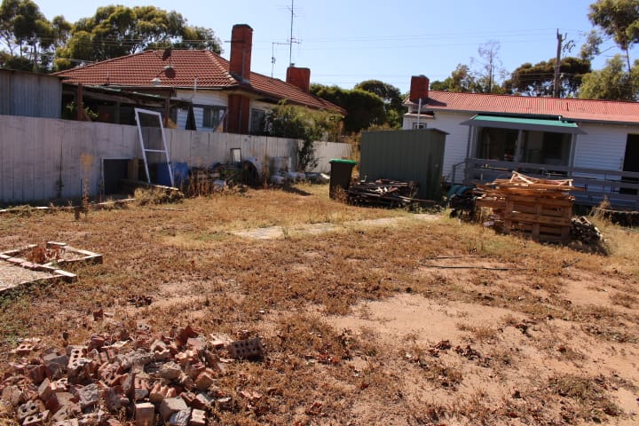 Find food, and community, in the garden