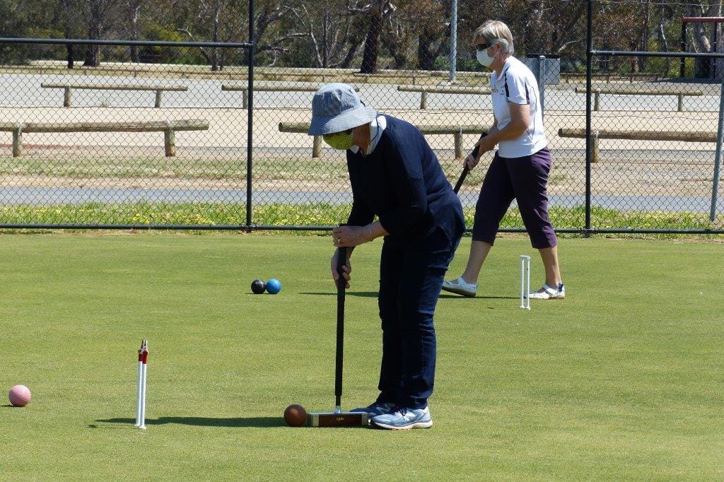 Croquet's back