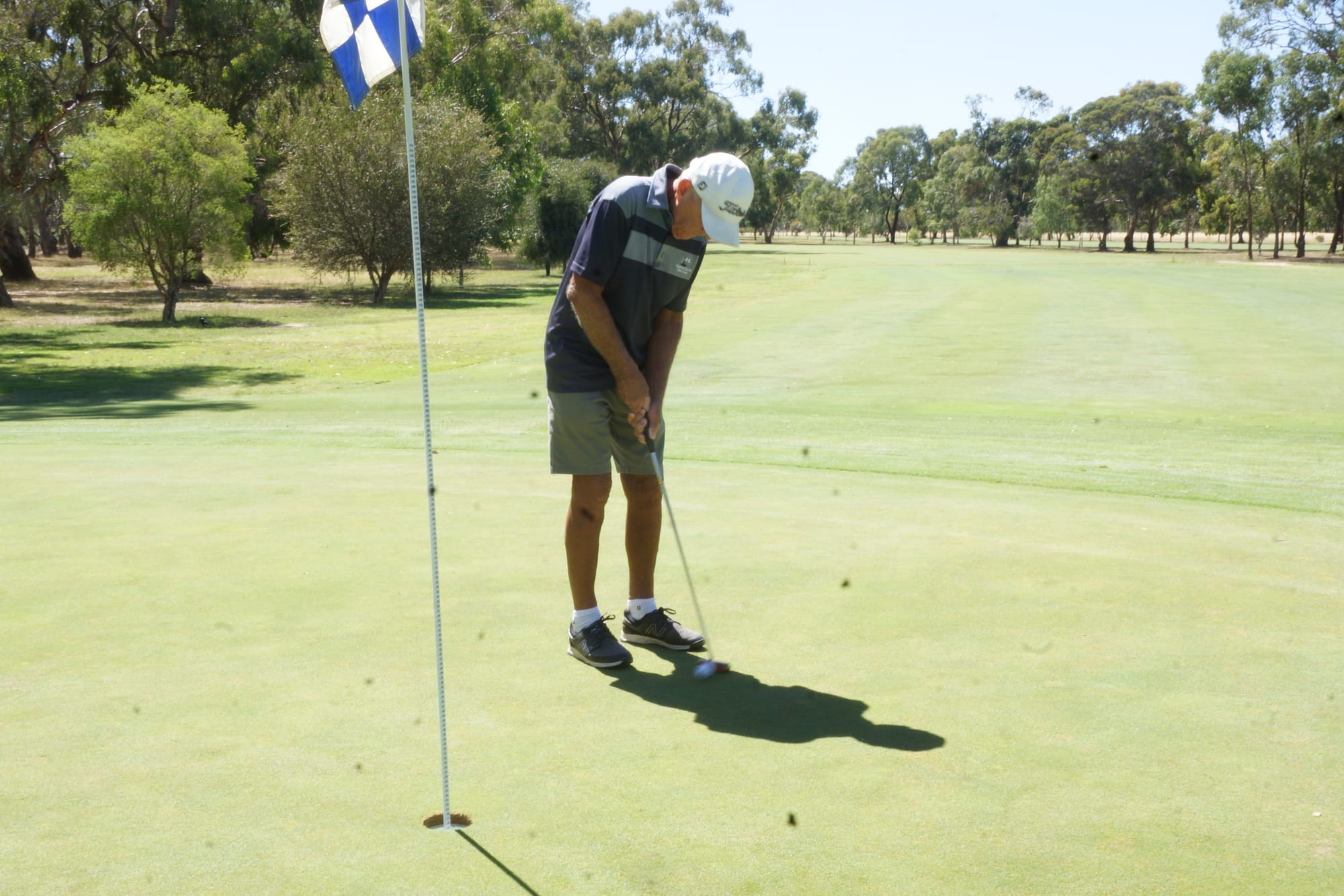 Putting for the win... Numurkah Golf Club men’s captain Ron ‘Always’ Smith won the Bear challenge last Thursday.