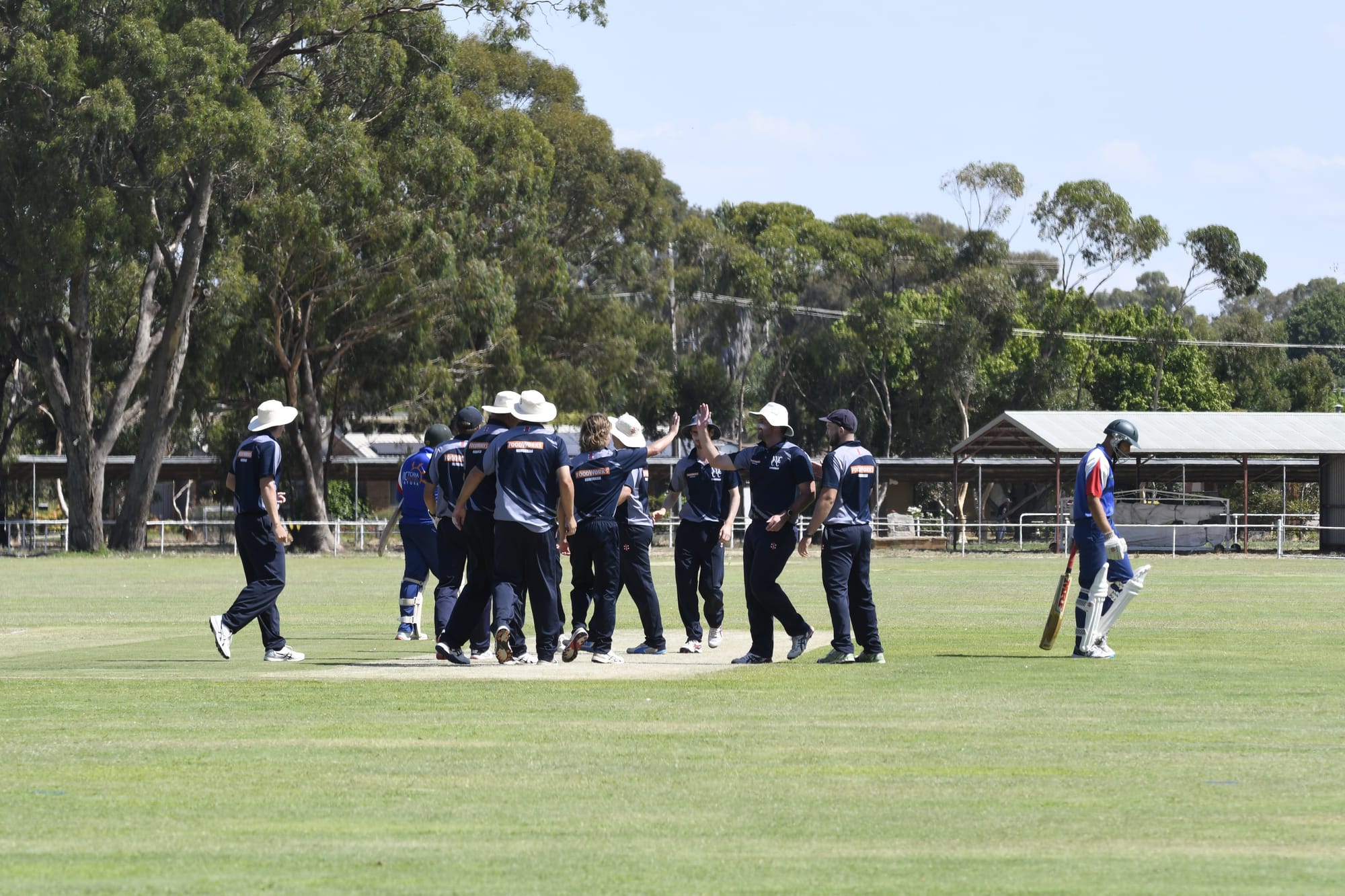 Breakthrough... Numurkah celebrates after Riley Dawson takes a wicket against Tatura at the weekend. 