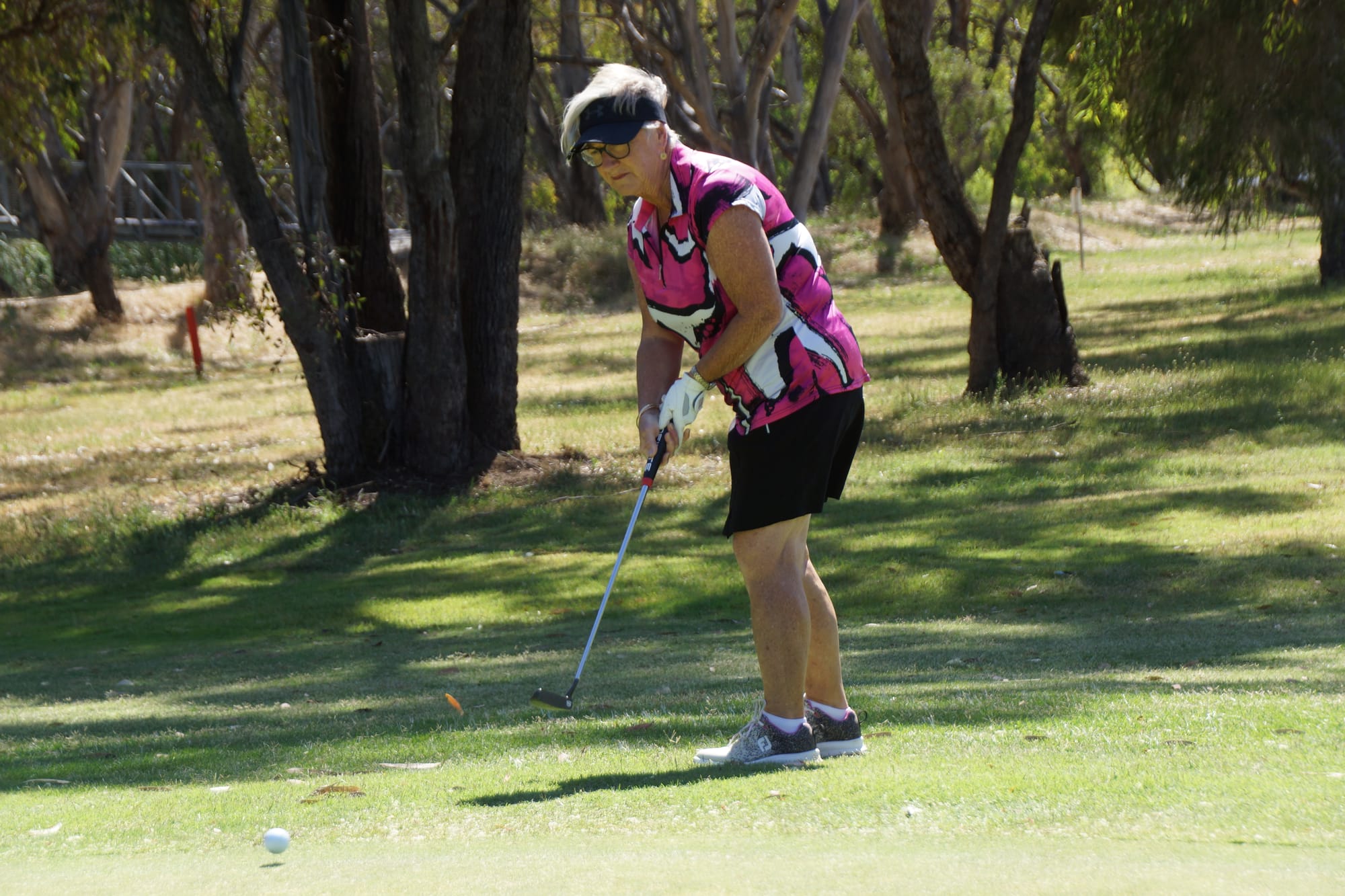 Unlucky... Sue Herlihy fell just short of the monthly medal on a countback last Wednesday. 