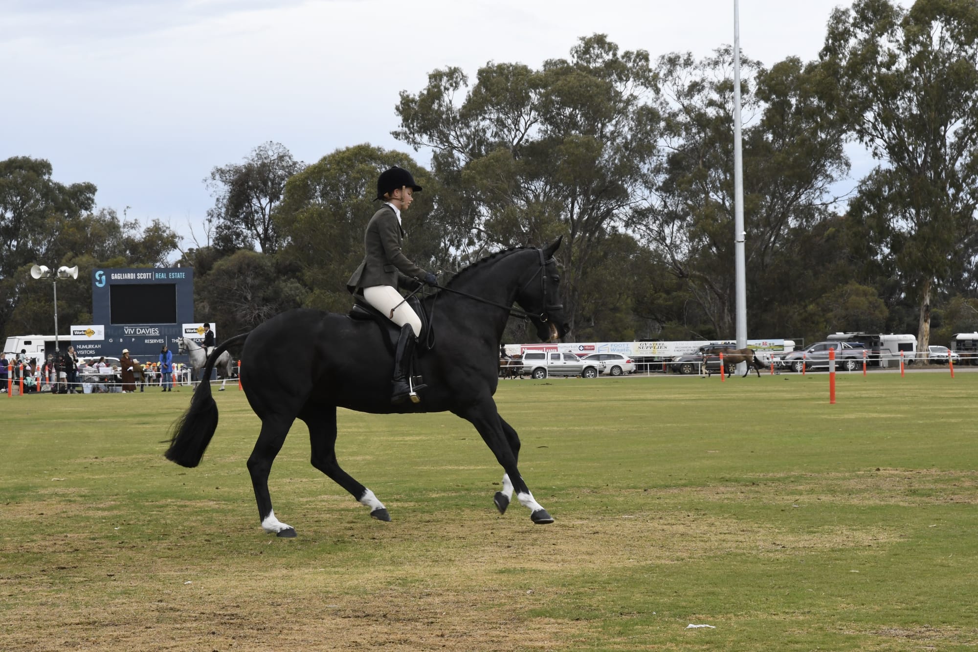 Competitors... Competition was hot in the horse ring as always.&nbsp;
