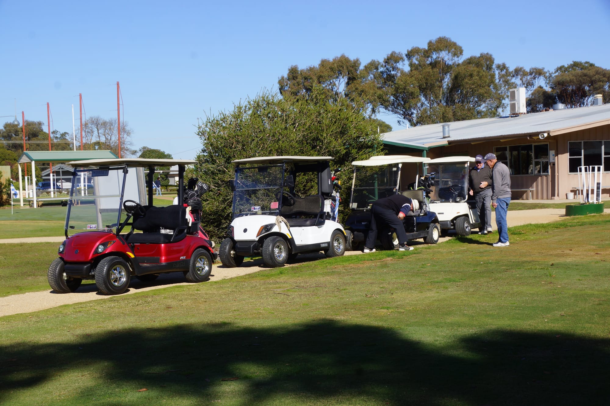 Cart rally ... This group took their social distancing seriously.