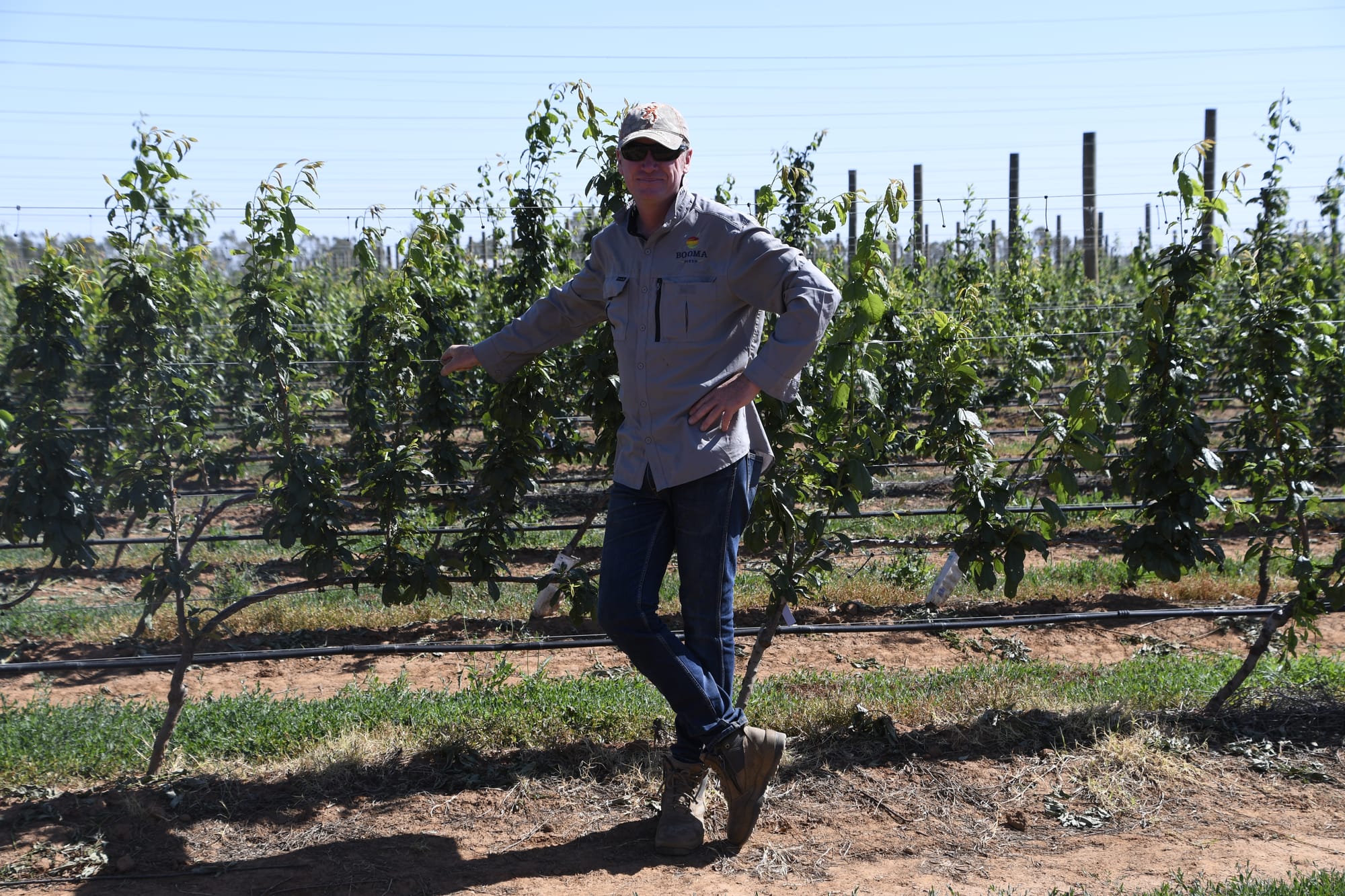 In desperate need ... Cutting funding to the project would be significantly detrimental to local fruit growers like Andrew Routledge. 
