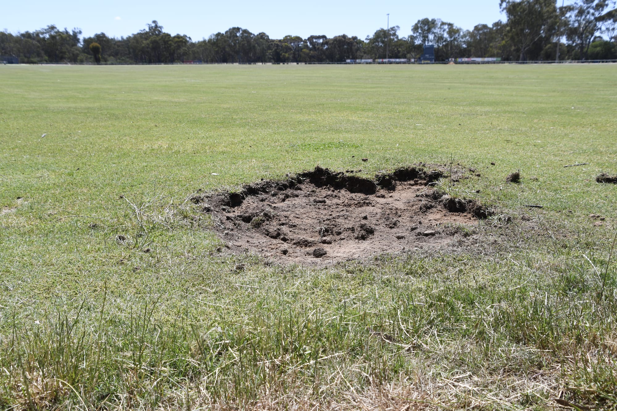 Turf theft ... A patch of turf was dug out of the ground at Numurkah rec reserve and taken away over the weekend. 