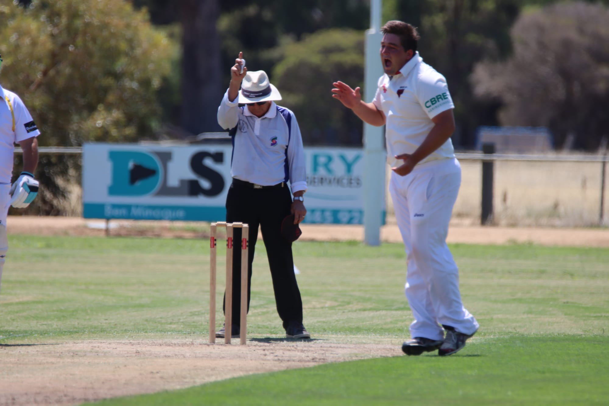 Howzat! … Corey Walpole claims one of his three victims.