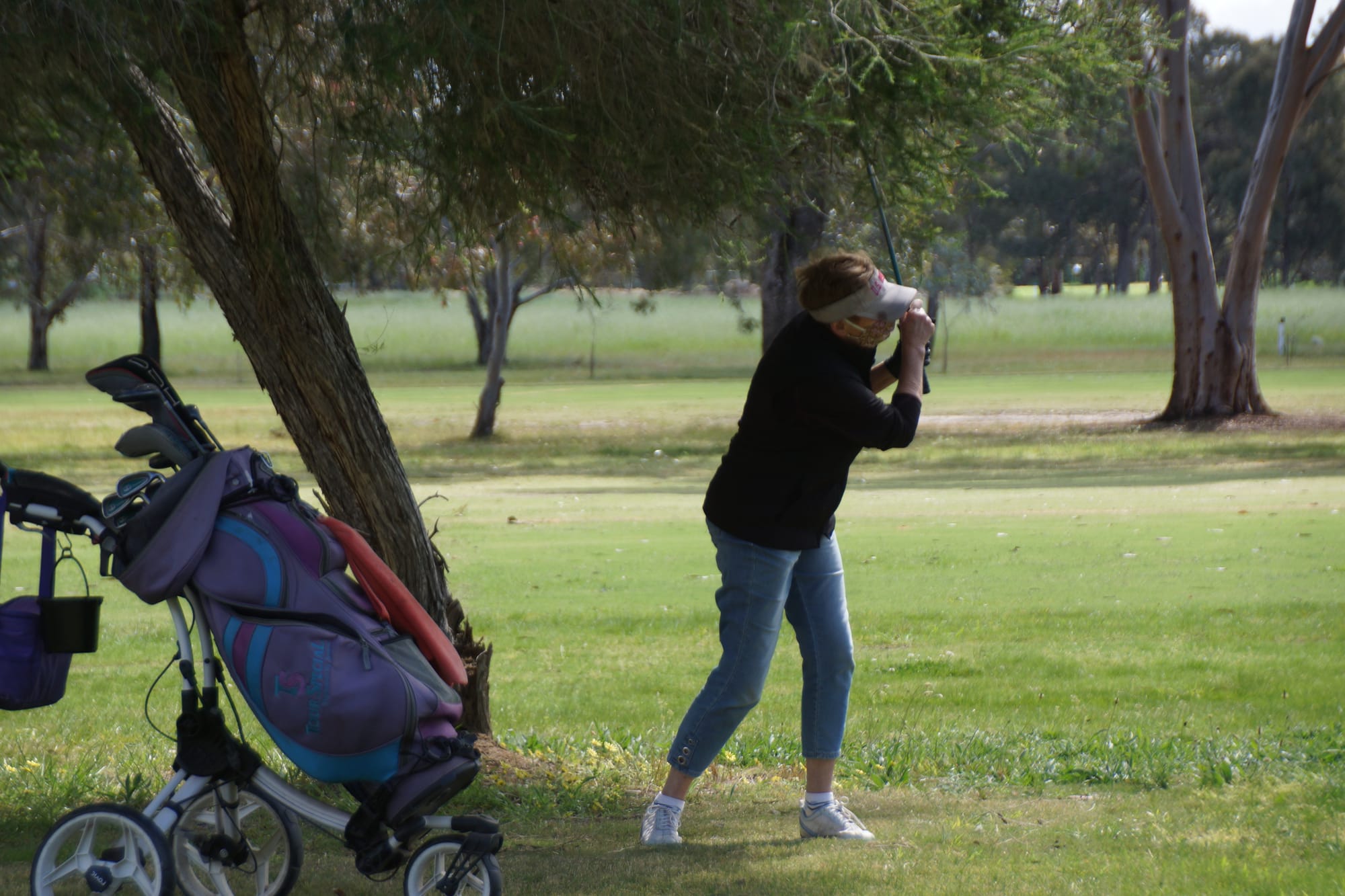 No trouble here ... Jan Niven plays a shot out from under a tree, that proved no trouble, on her way to a terrific winning score.