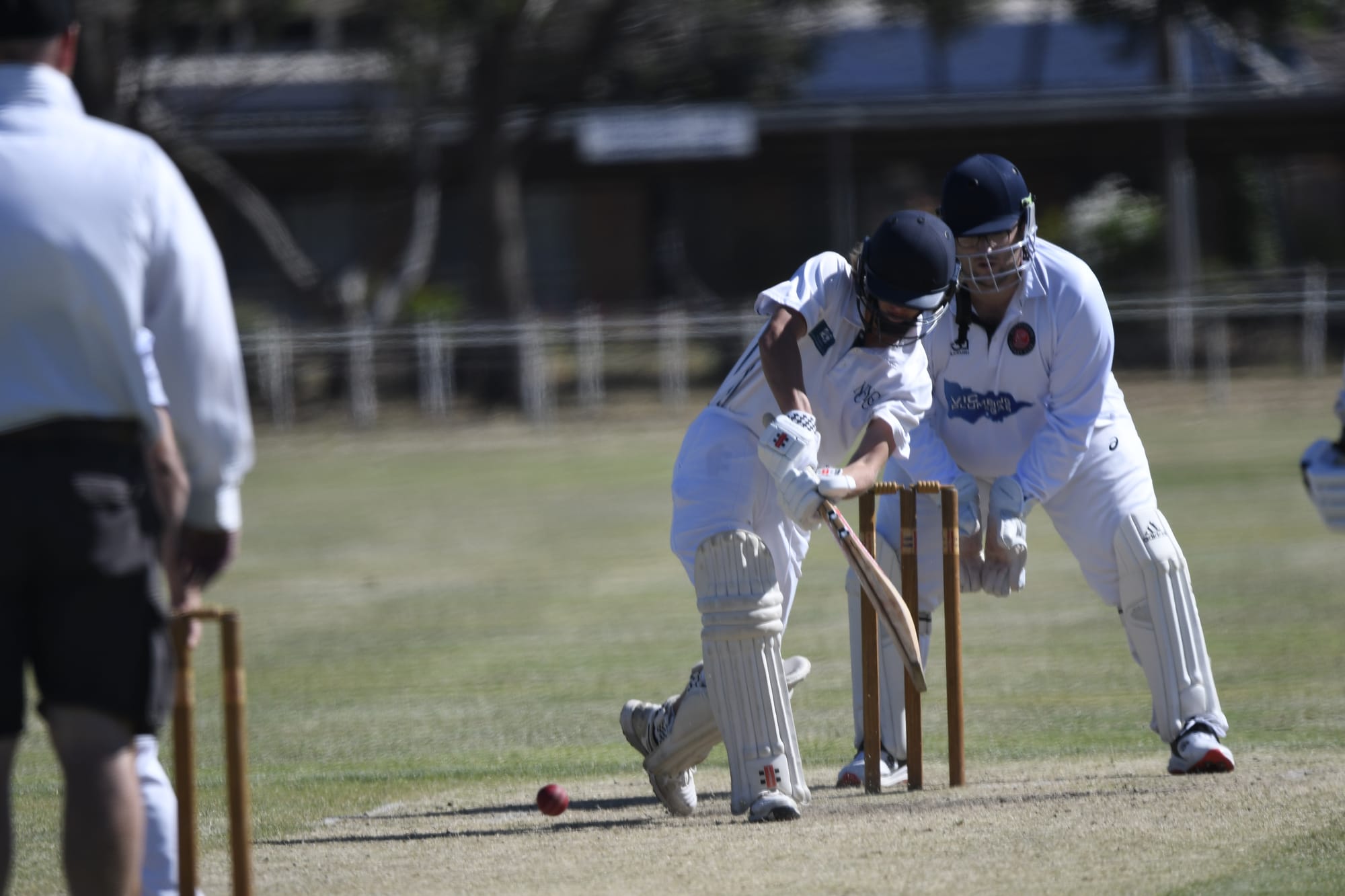 Young star... Riley Dawson clips one off his pads. 