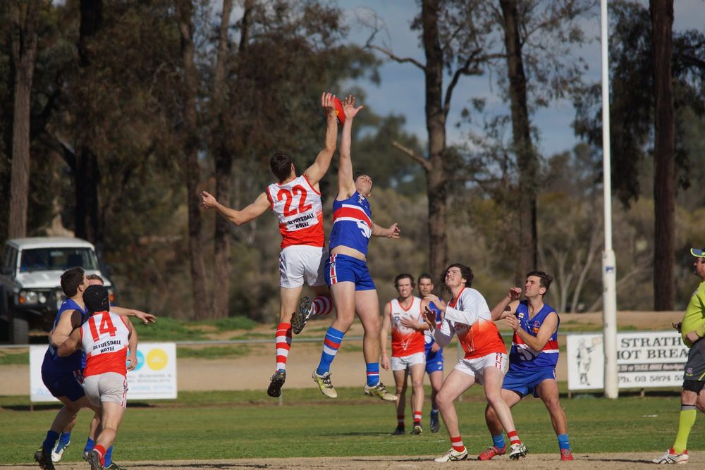 Bulldogs run away to take shield from Swans post image