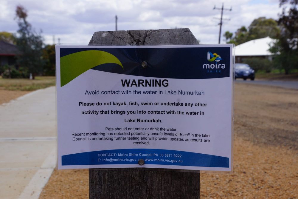 Lake Numurkah ‘closed’ after positive E. coli test post image