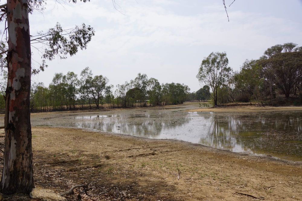 Lake to run dry for its own good post image