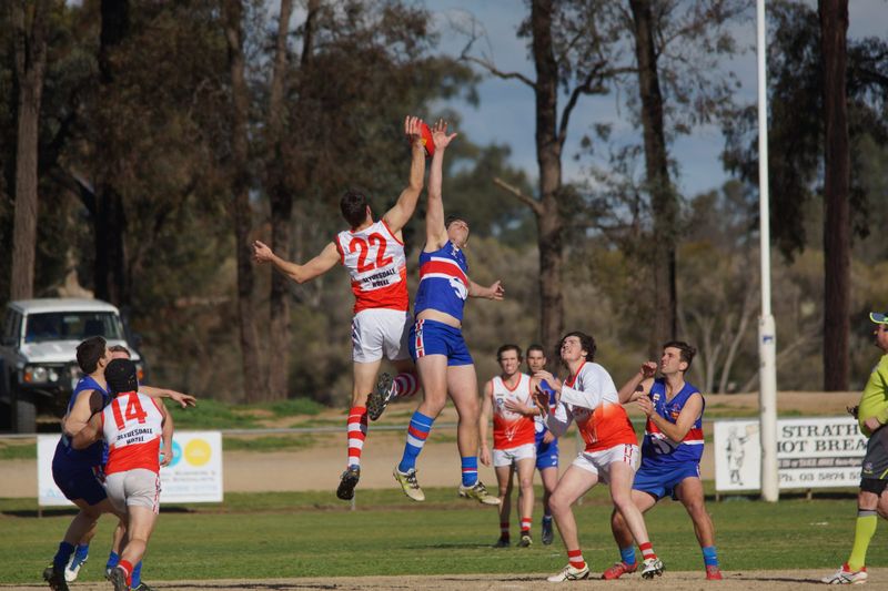 Bulldogs run away to take shield from Swans post image