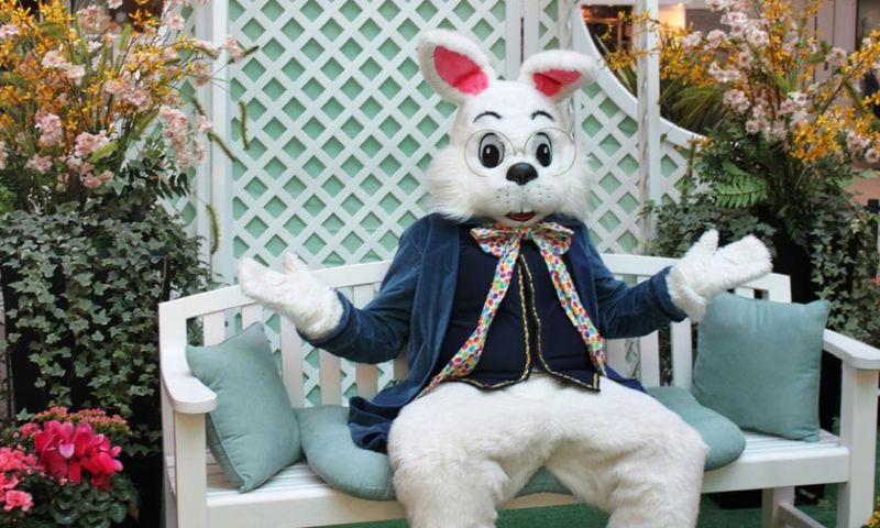 A cuppa with the Easter Bunny post image