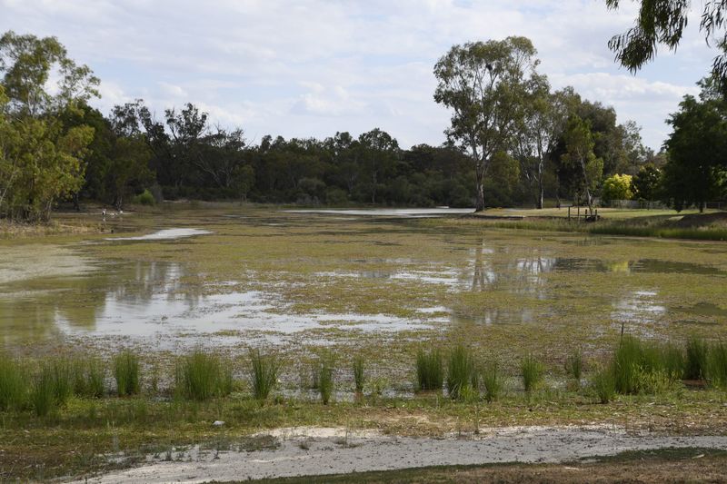 Lake Numurkah slightly safer, but still E. coli positive post image
