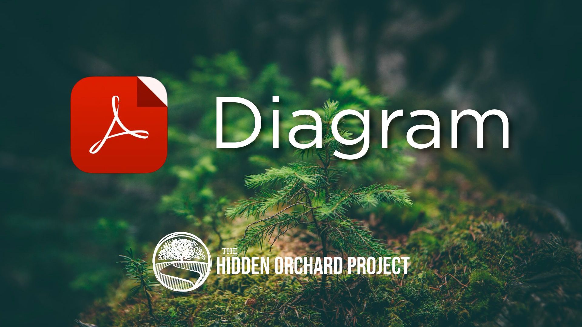 The Soul - A Detailed Diagram