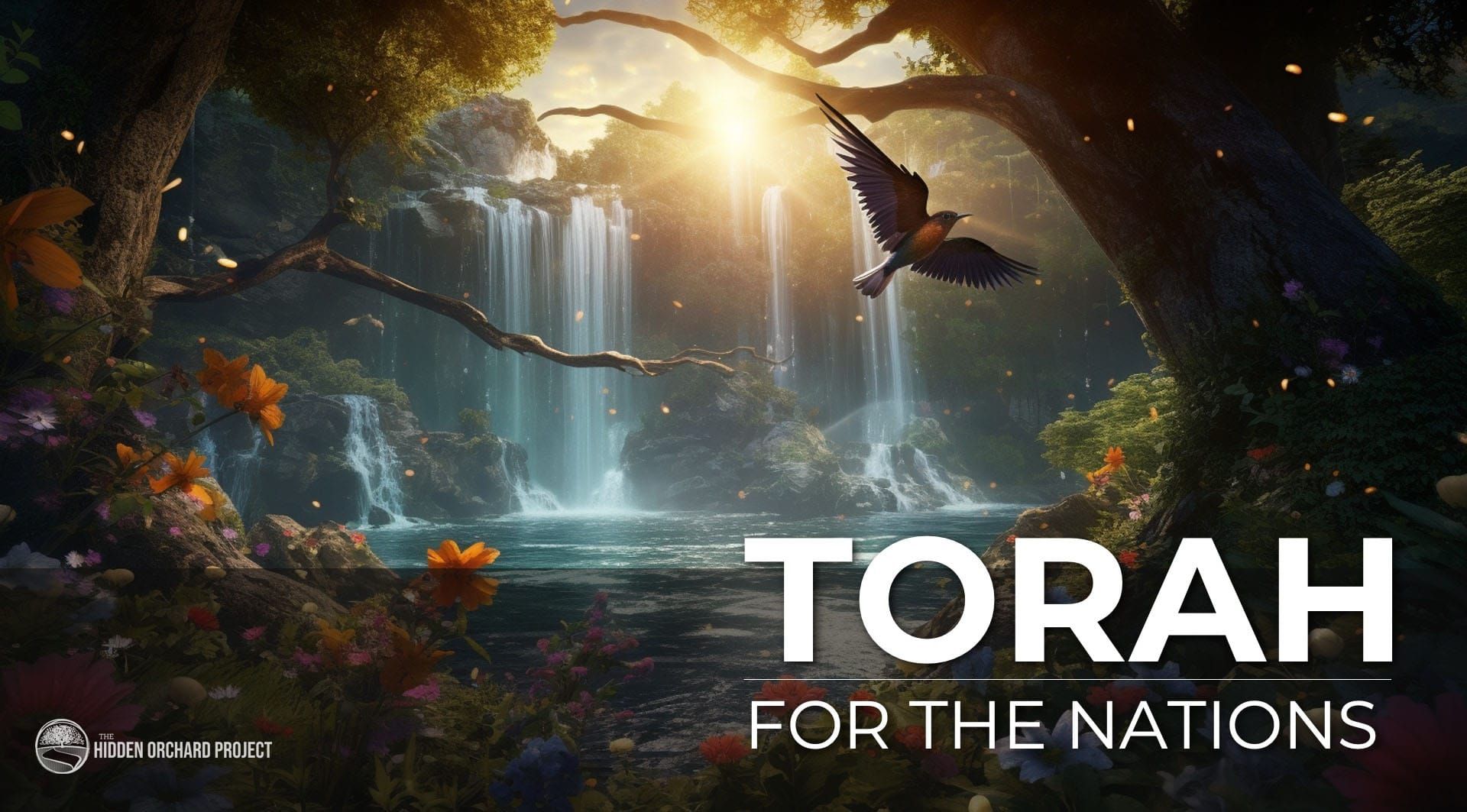 Video: Torah for the Nations