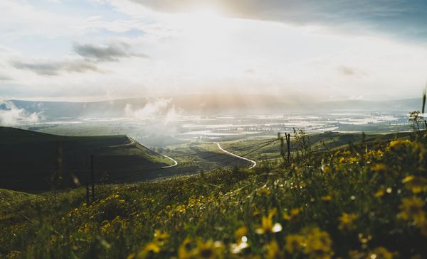 The Power of Forgiveness